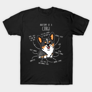 Corgi Tri Color Dog Anatomy T-Shirt